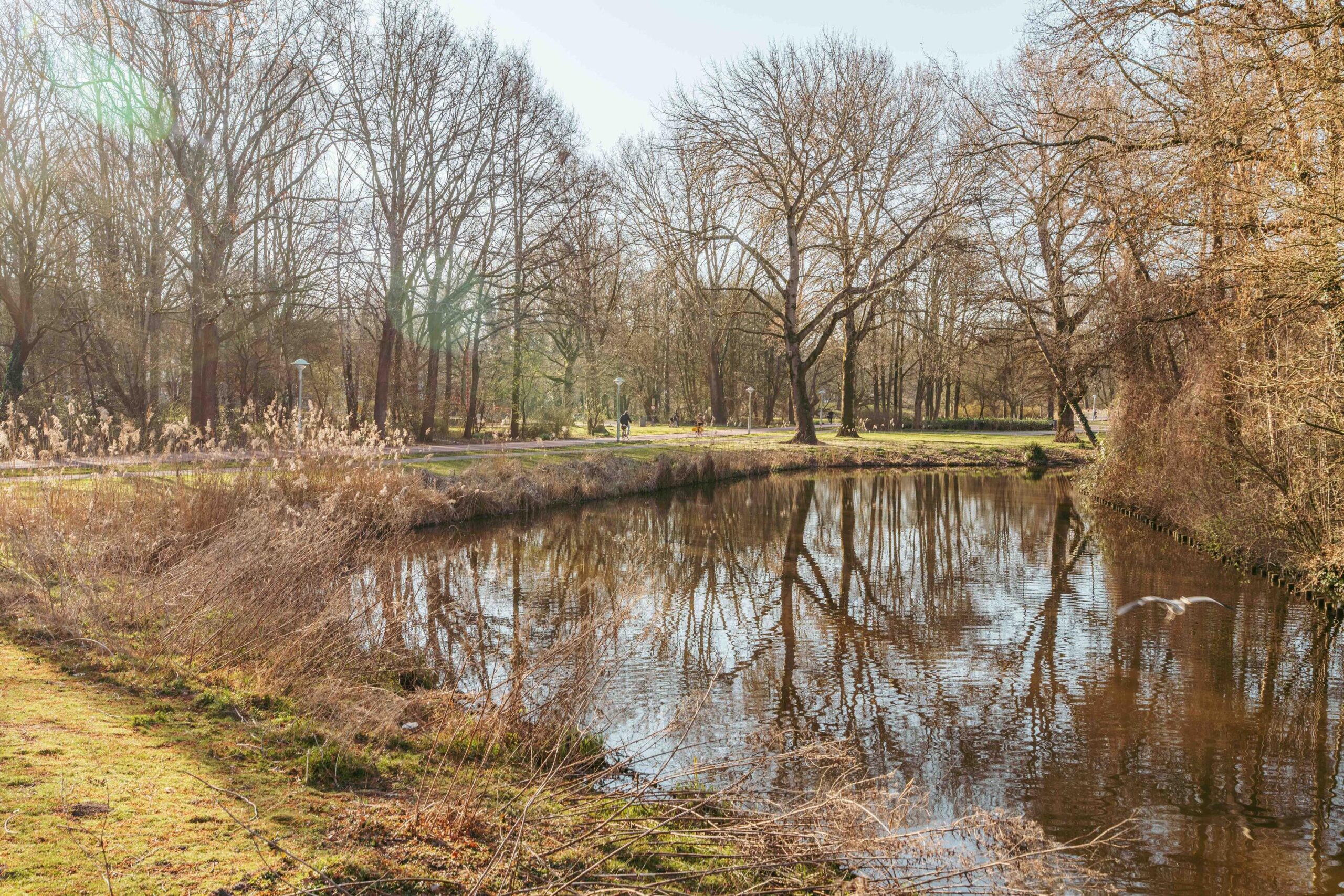 Griseldestraat 36 2 in AMSTERDAM-19