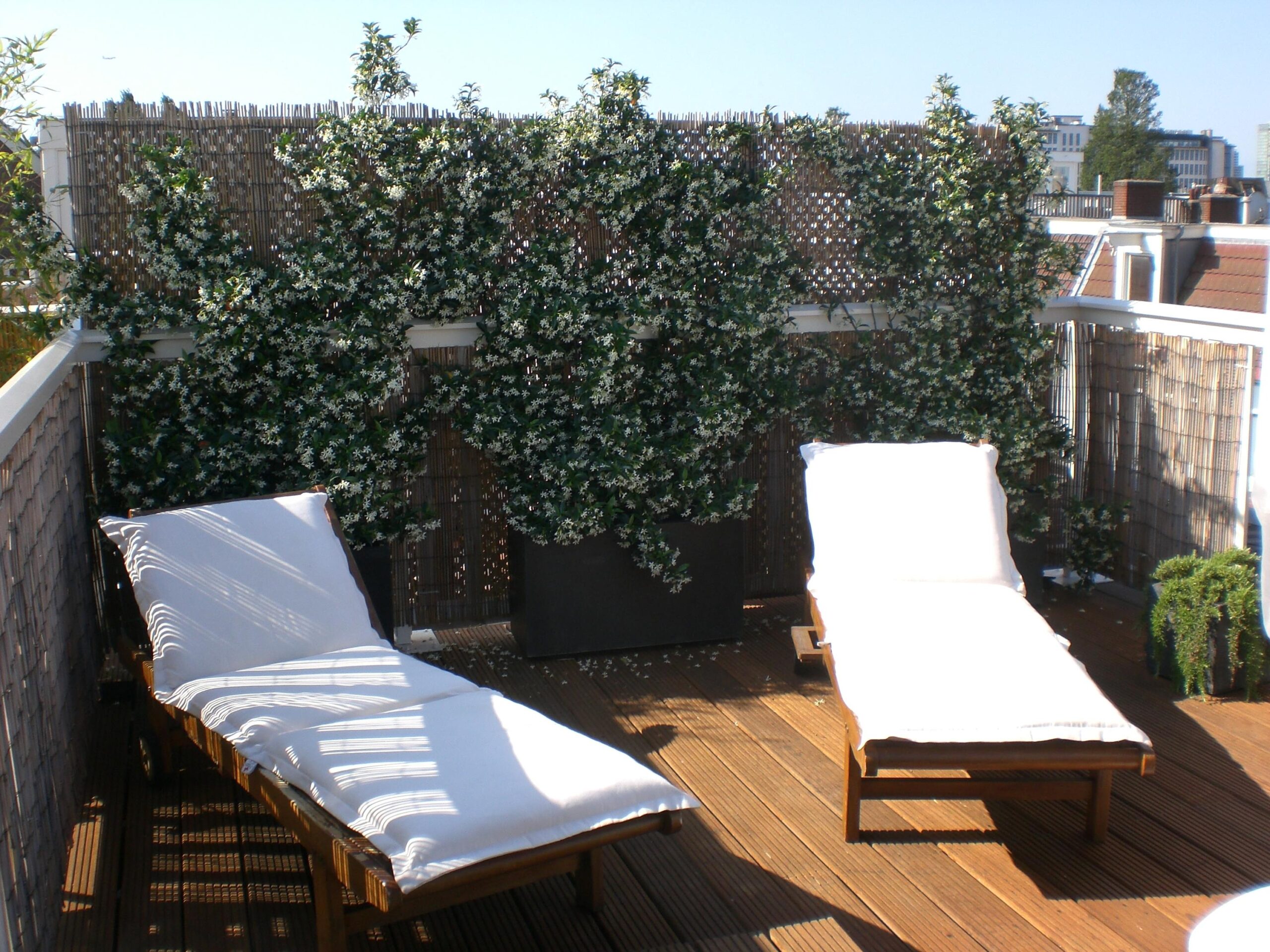 Balthasar Floriszstraat 12 3 in AMSTERDAM-27