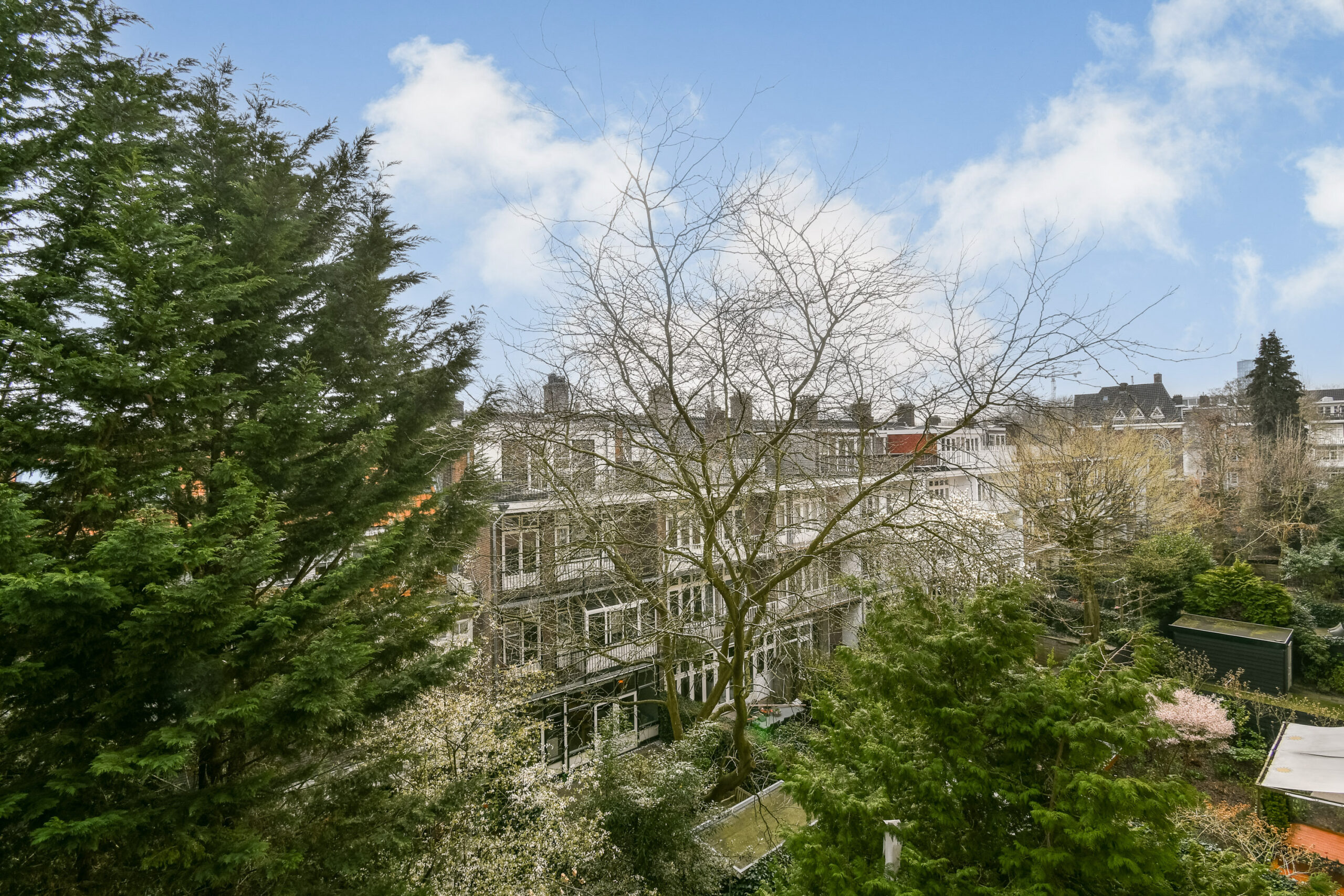 Beethovenstraat 91 3 in AMSTERDAM-13