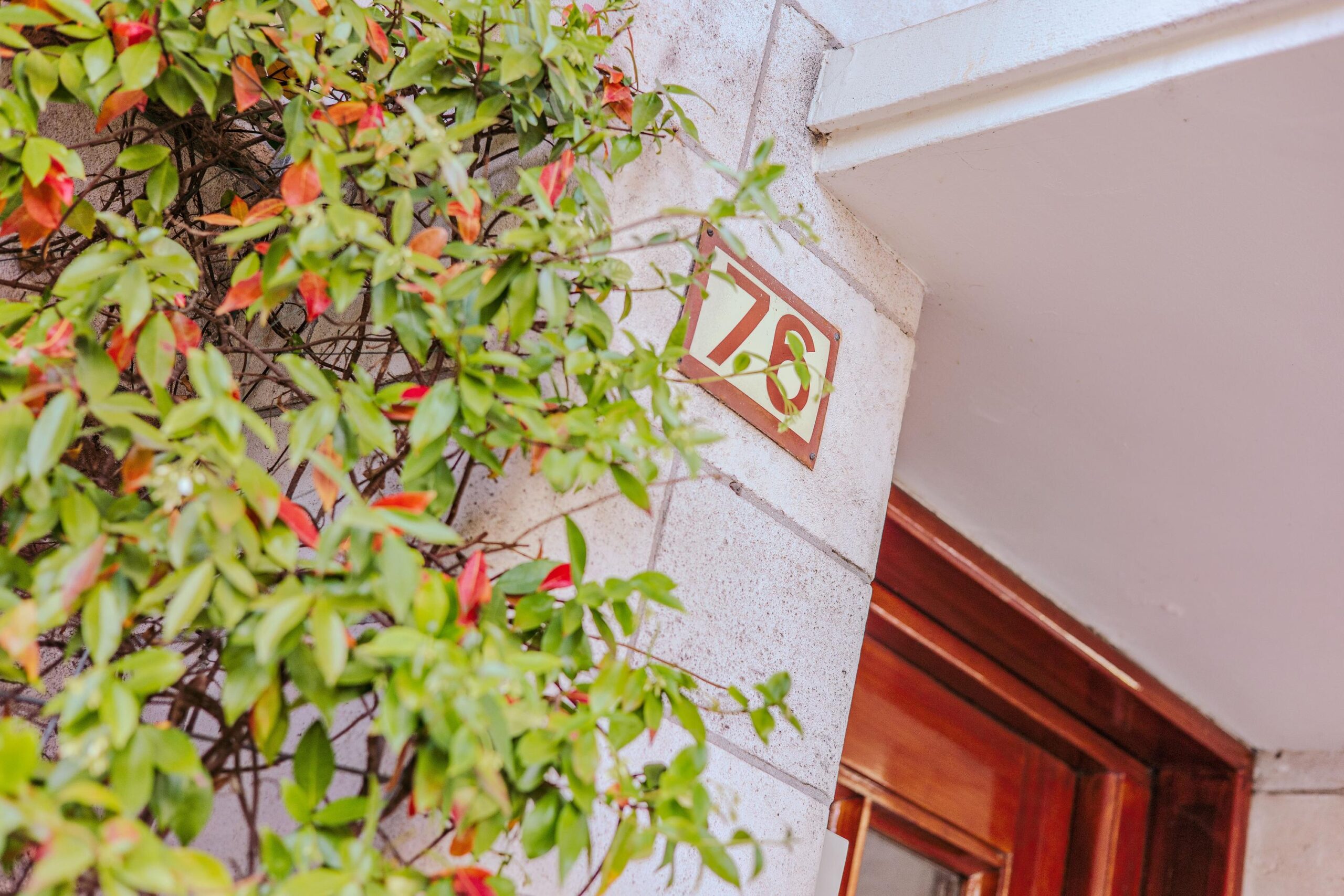 Minervalaan 76 3 in AMSTERDAM-35