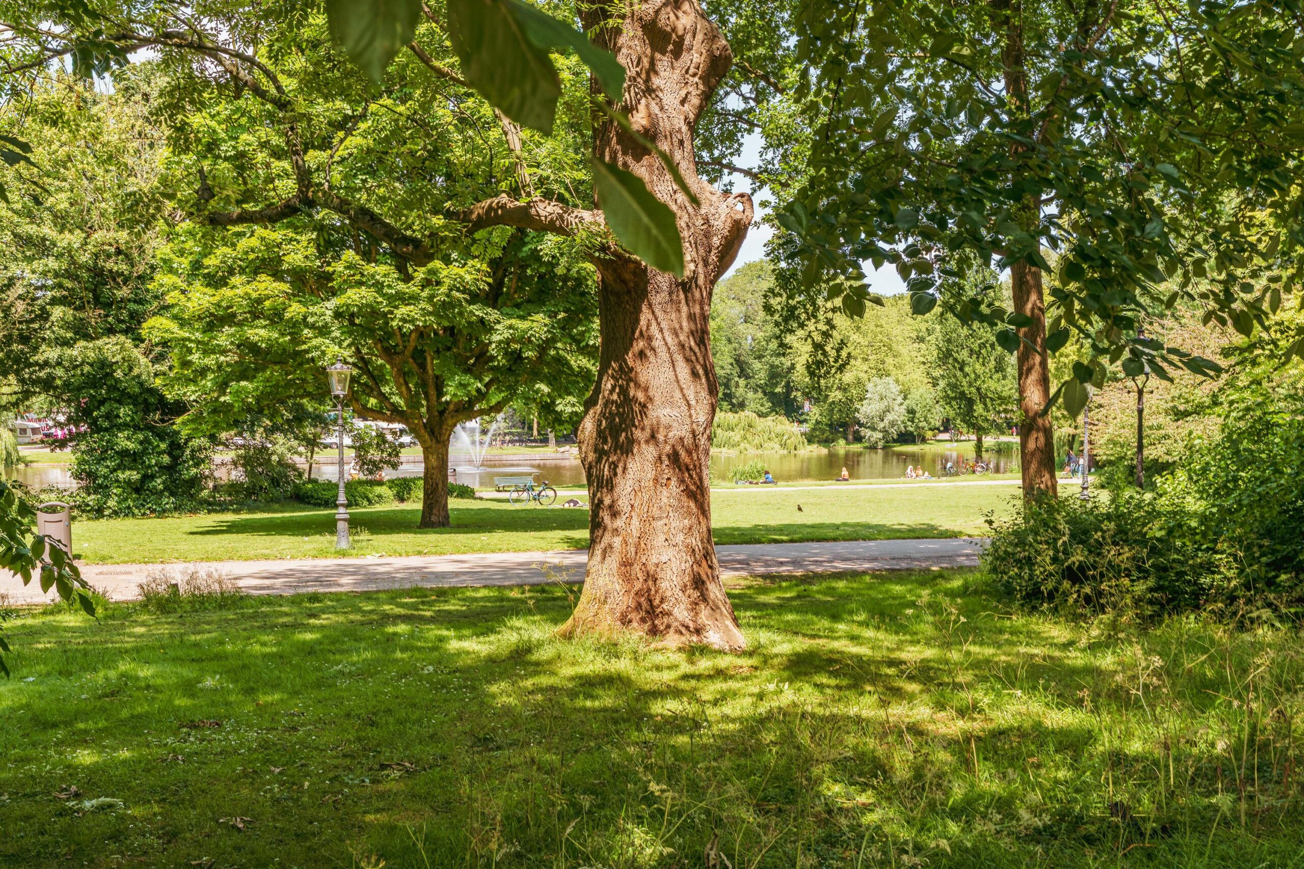 Oosterpark 68 C in AMSTERDAM-28