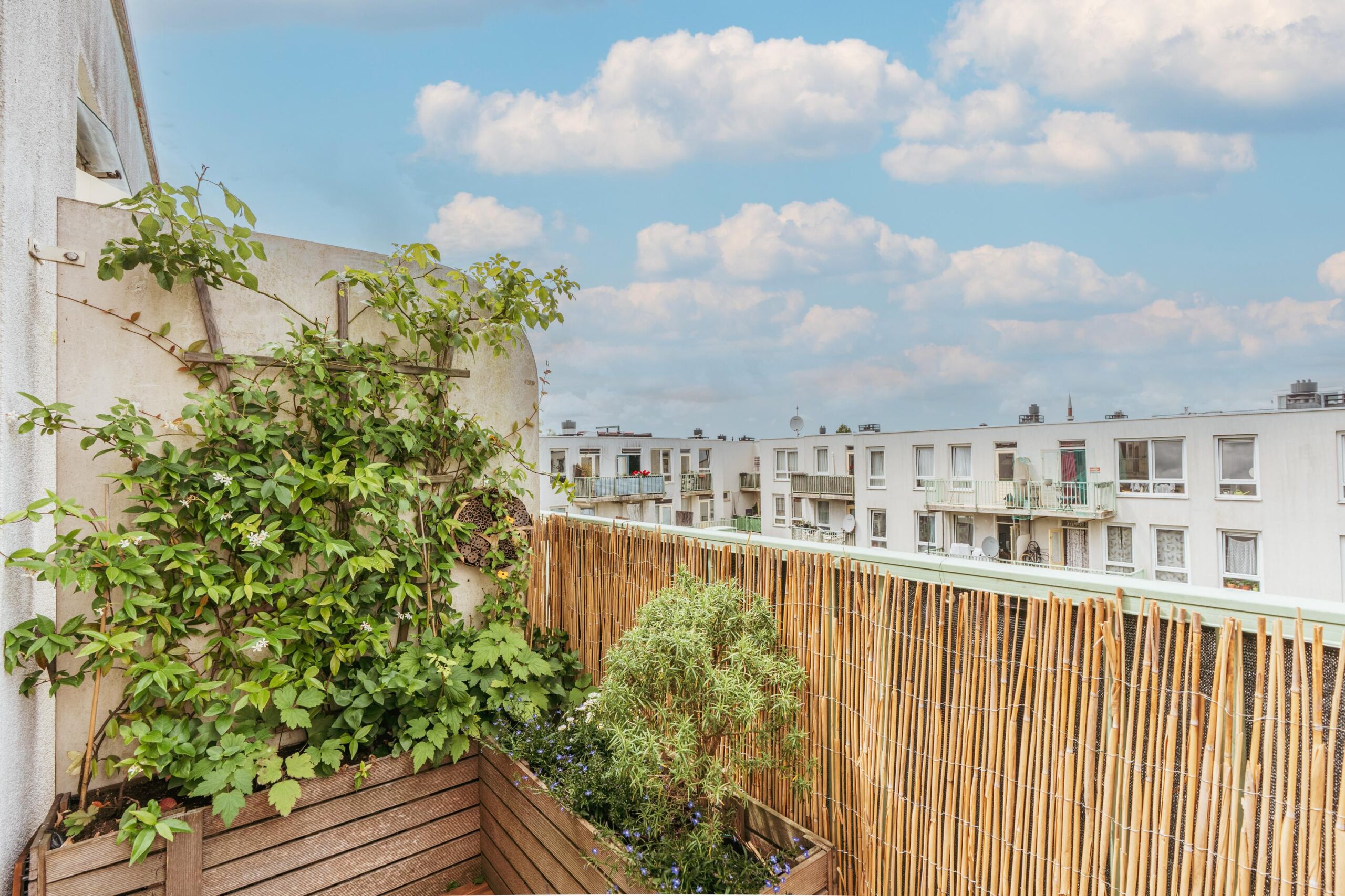 Jacob van Lennepstraat 252 D in AMSTERDAM-16