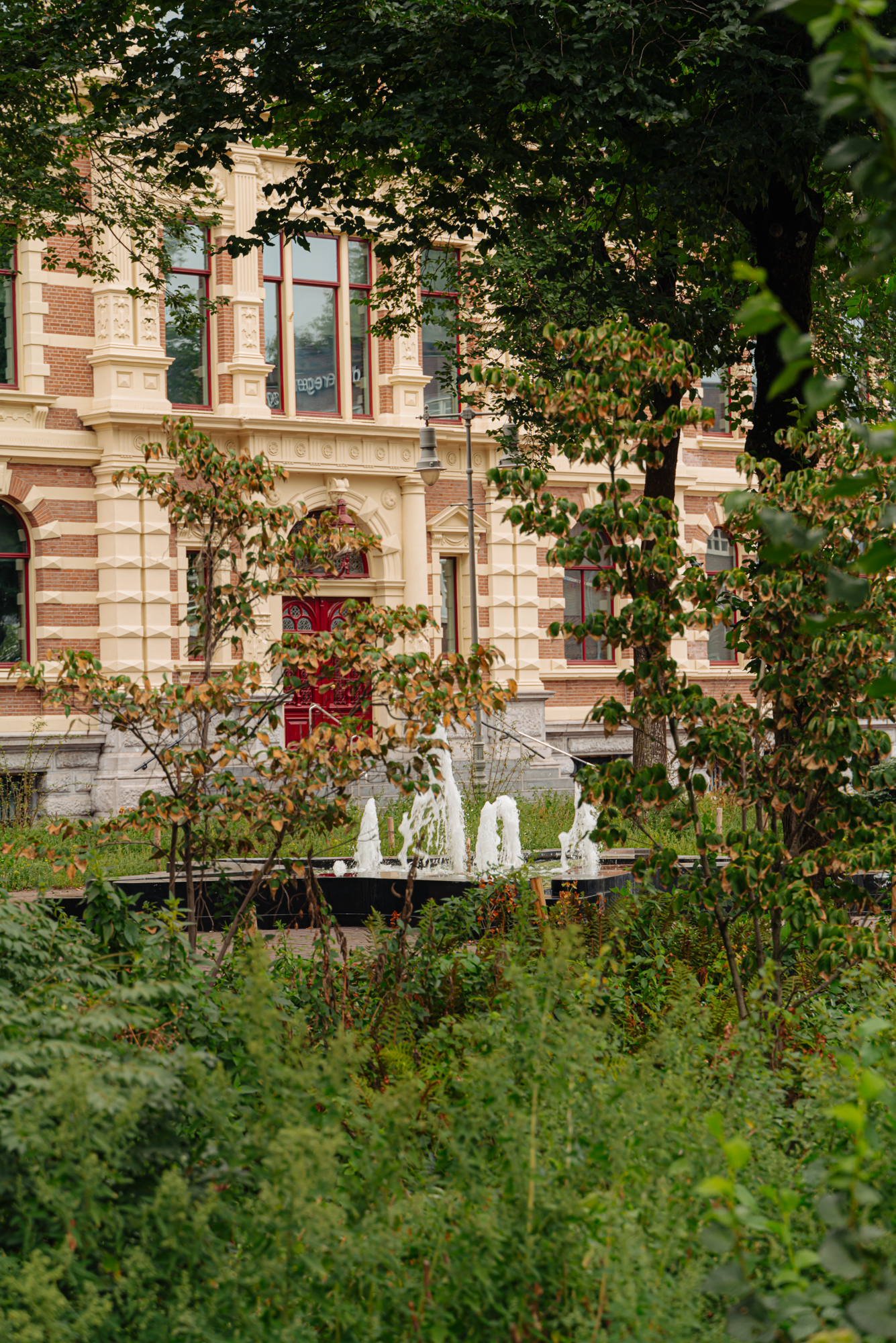 Droogbak 8 1 in AMSTERDAM-15