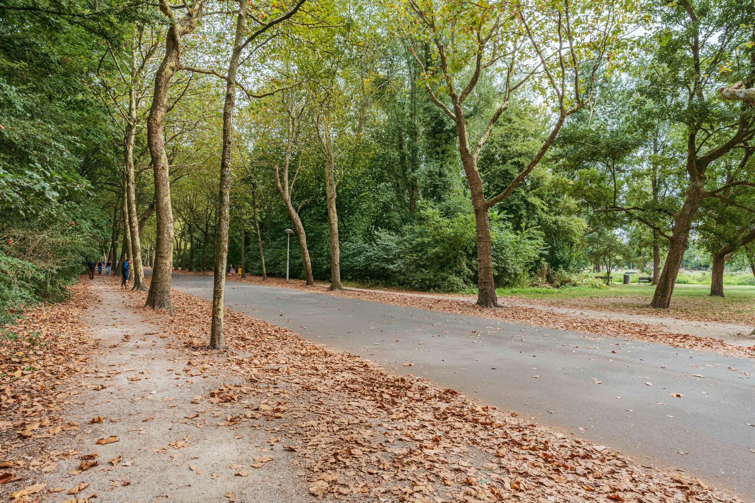 Vondelkerkstraat 26 O in AMSTERDAM-31