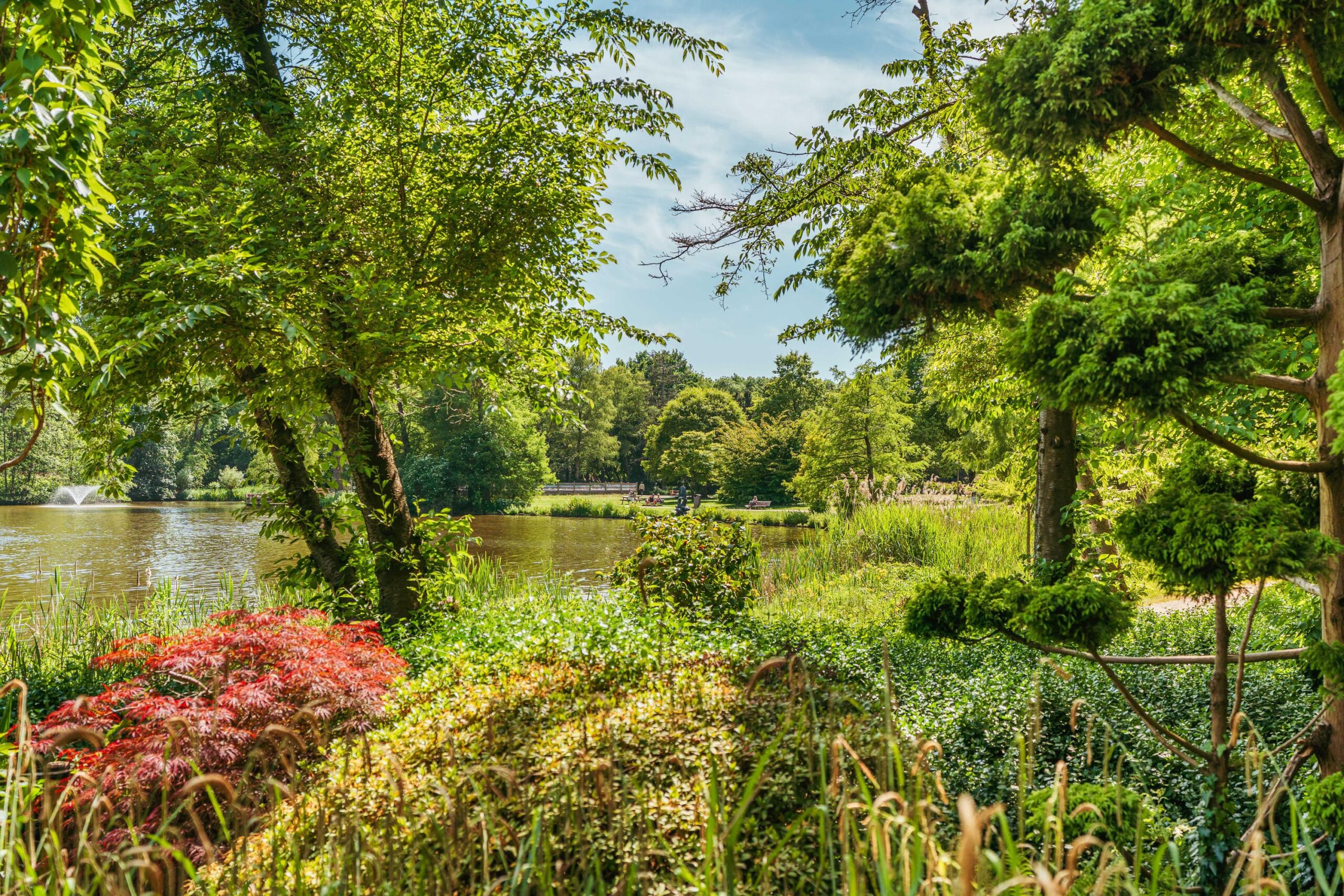 Keverberg 41 in AMSTERDAM-65