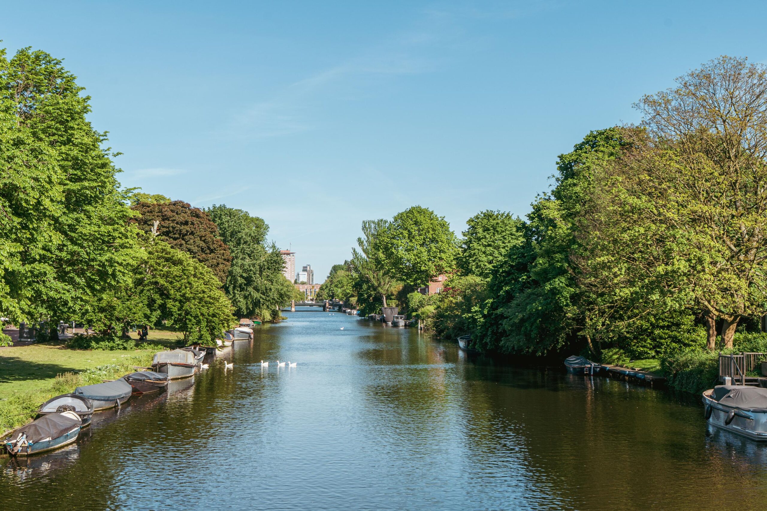 Hacquartstraat 7 2 in AMSTERDAM-30