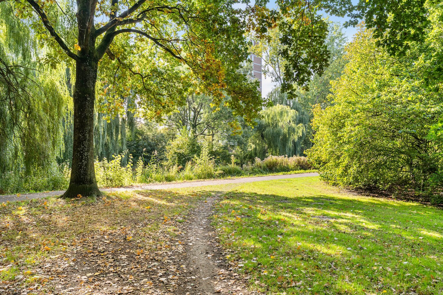 Cannenburg 3 in AMSTERDAM-33