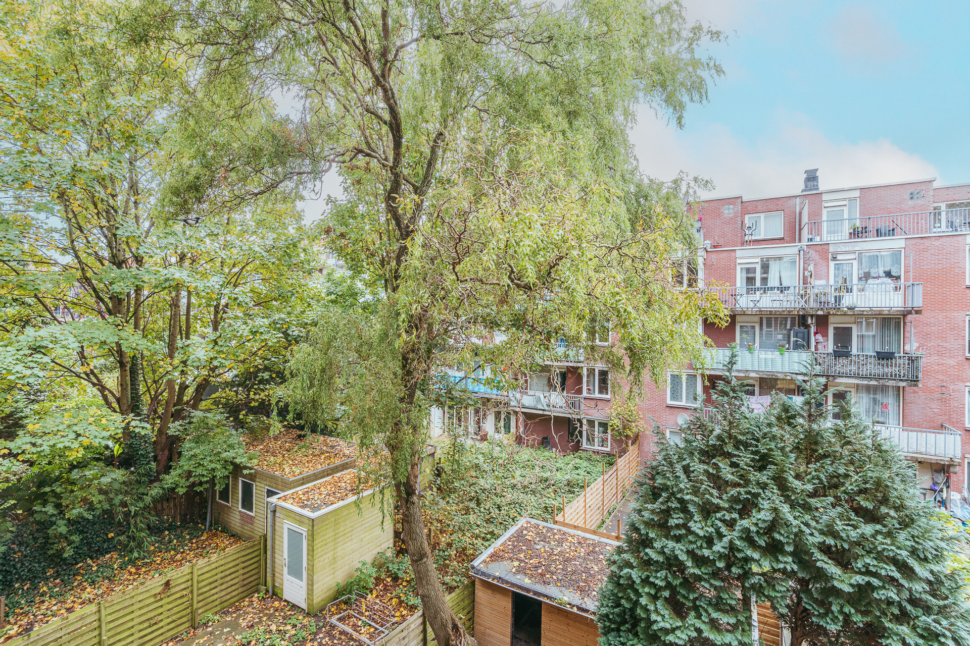 Boetonstraat 20 2 in AMSTERDAM-14