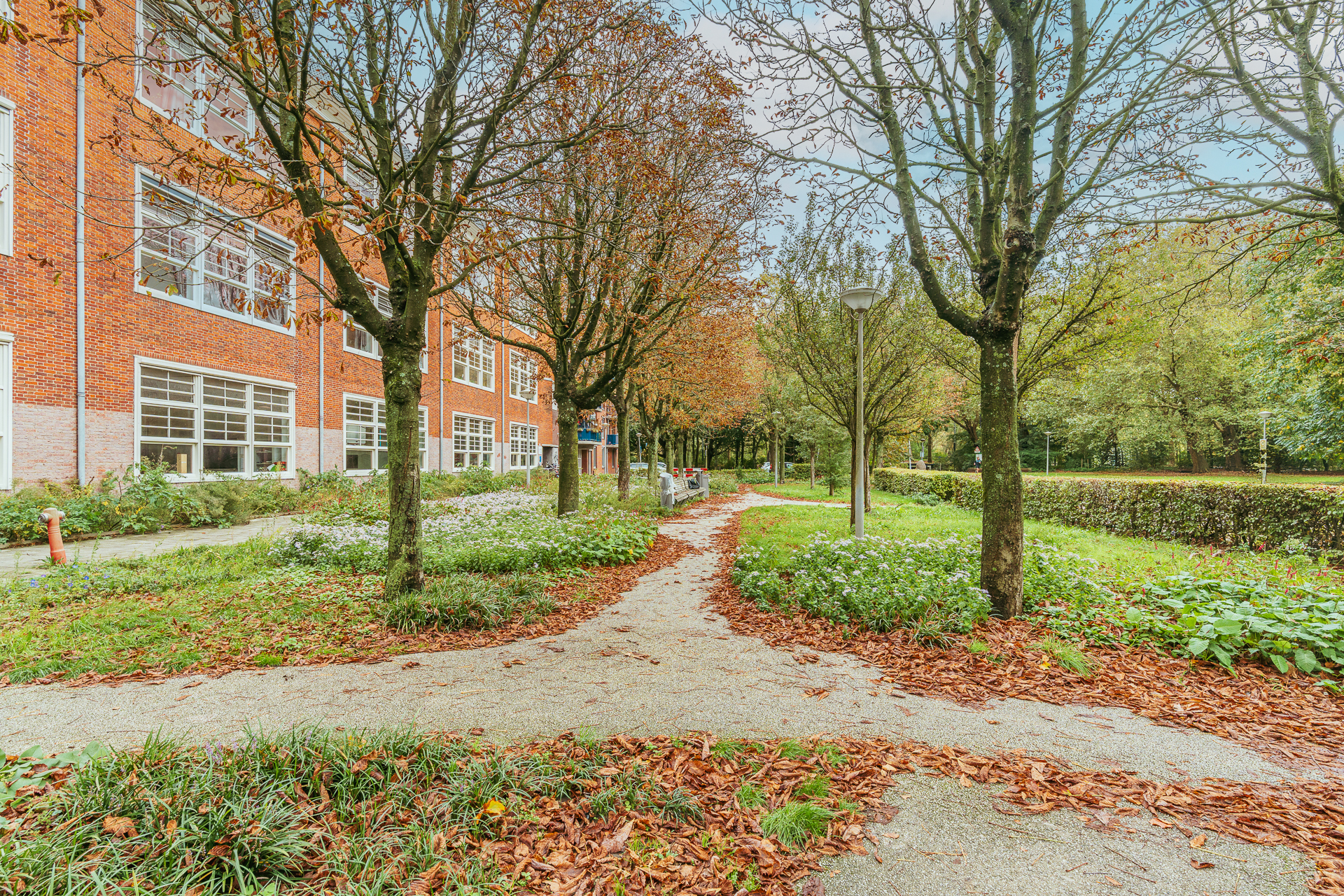 Boetonstraat 20 2 in AMSTERDAM-21