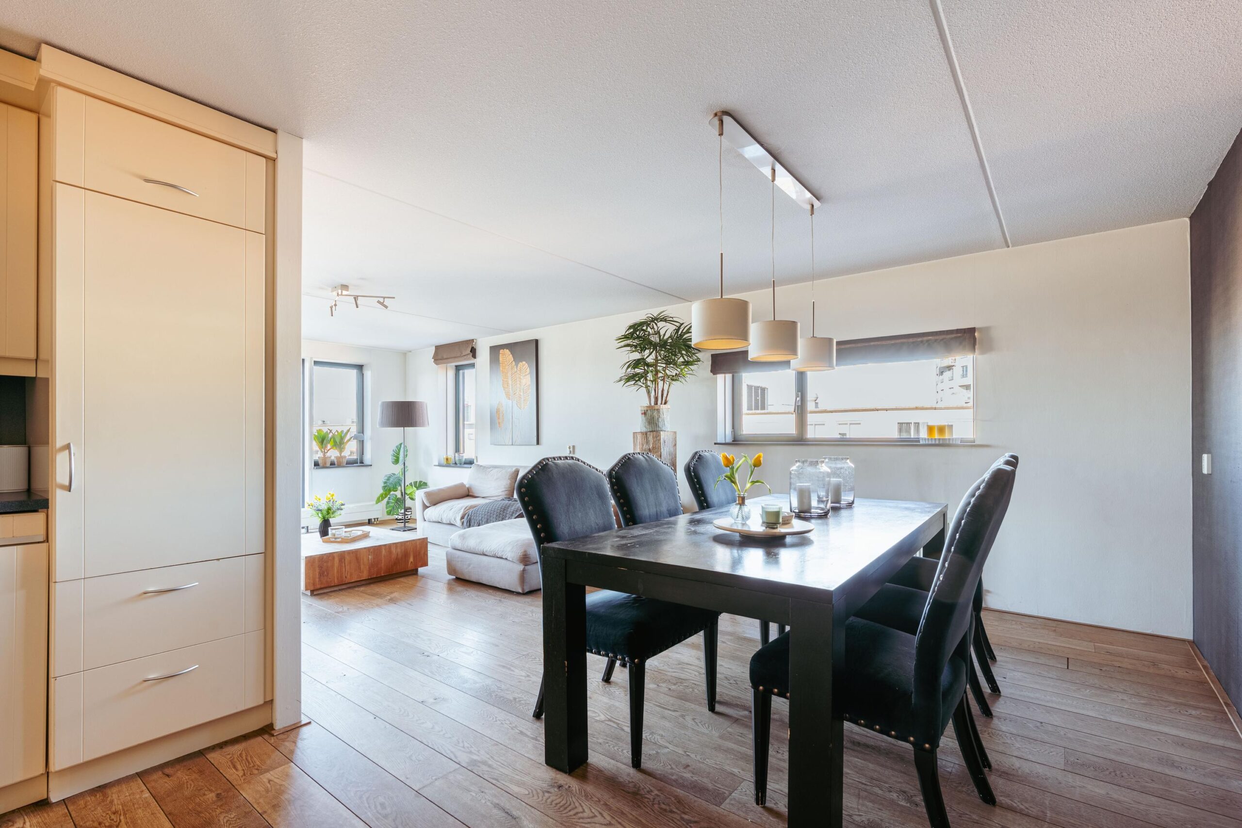 Hageland 122 in AMSTERDAM-4