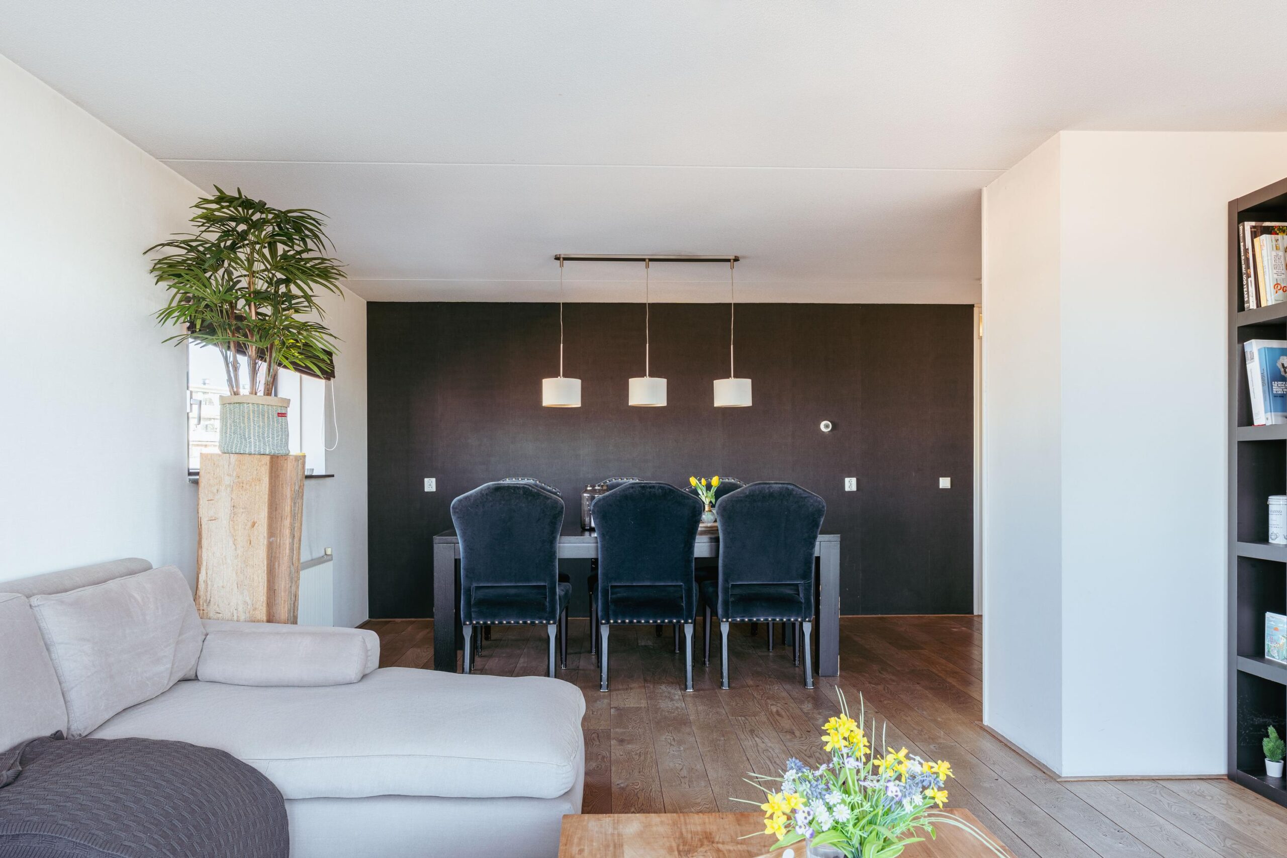 Hageland 122 in AMSTERDAM-3