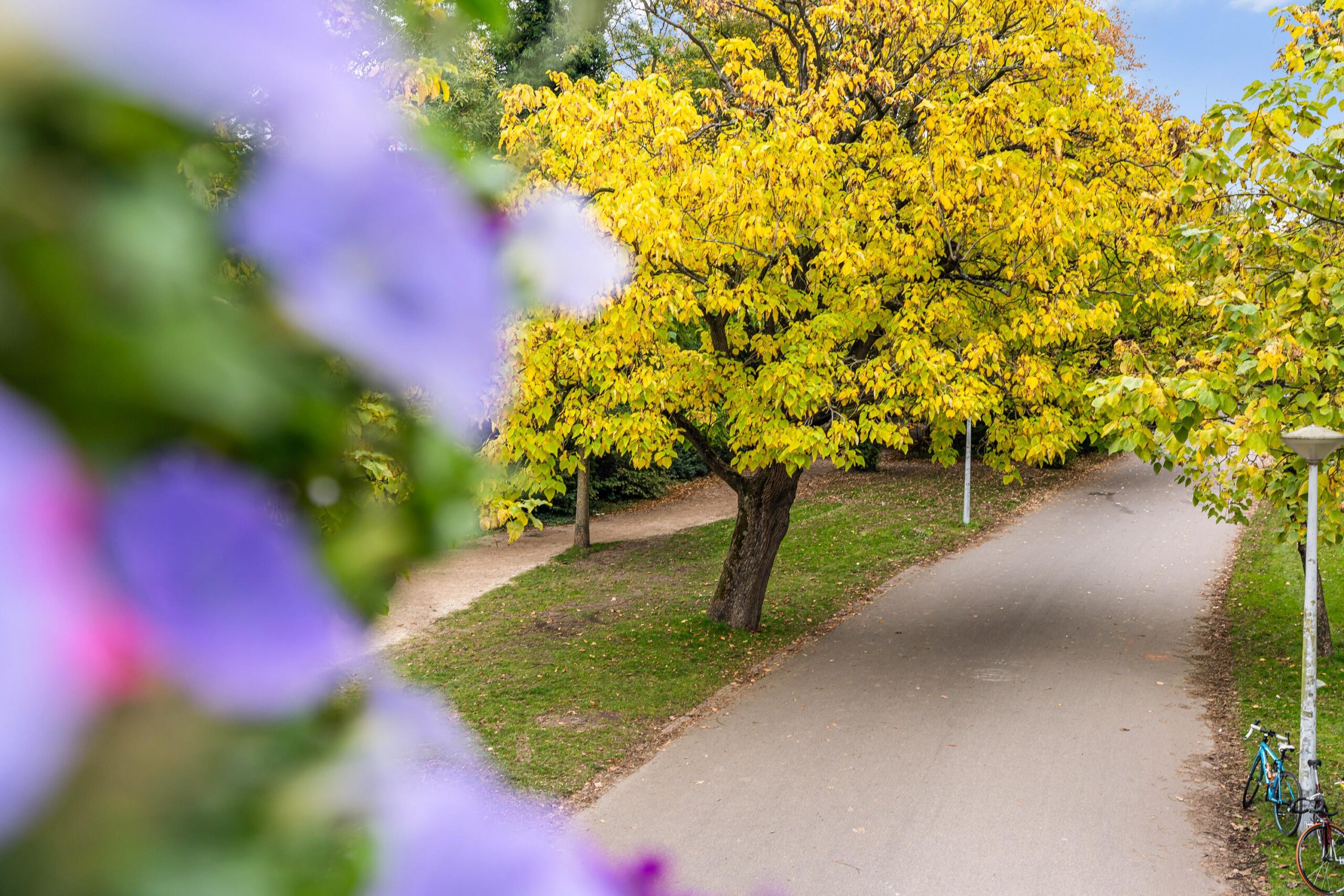 Vossiusstraat 44 2 in AMSTERDAM-77