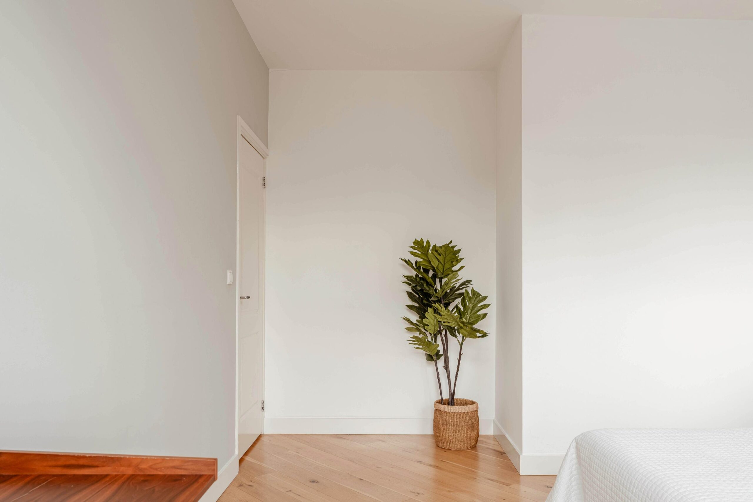 Dusartstraat 56 3 in AMSTERDAM-18