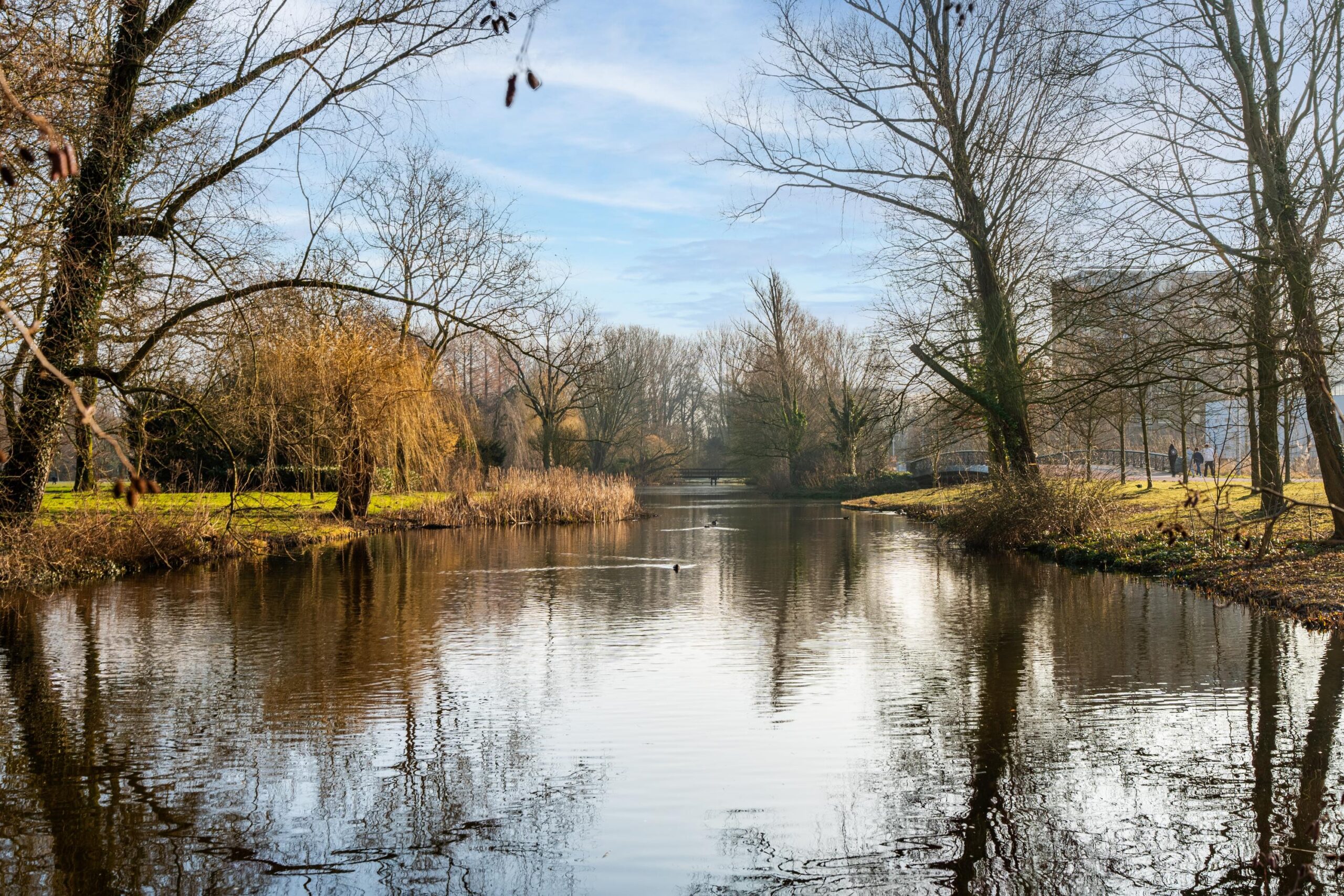 Geleenstraat 27 1 in AMSTERDAM-20