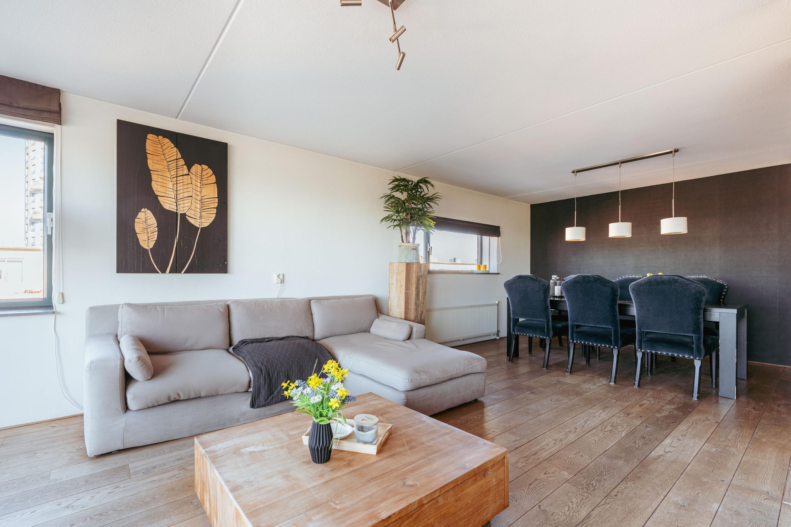 Hageland 122 in AMSTERDAM-11