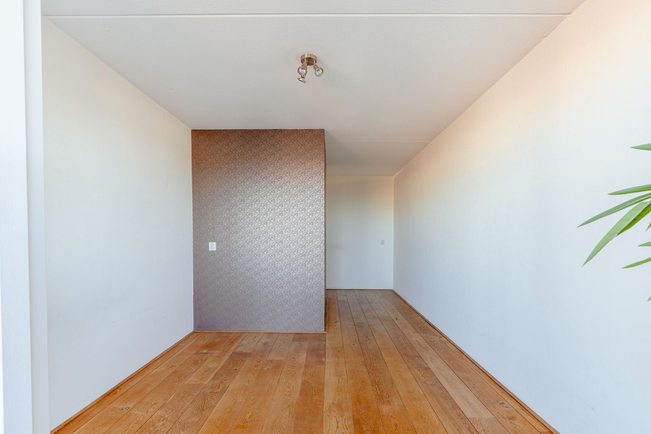 Hageland 122 in AMSTERDAM-18