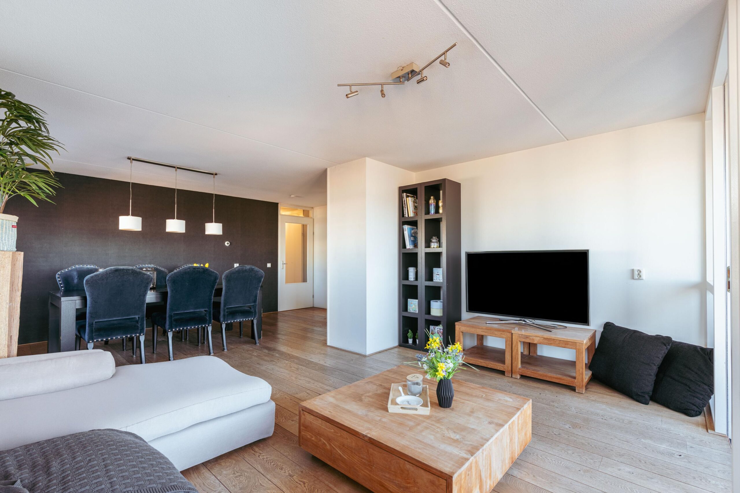 Hageland 122 in AMSTERDAM-9